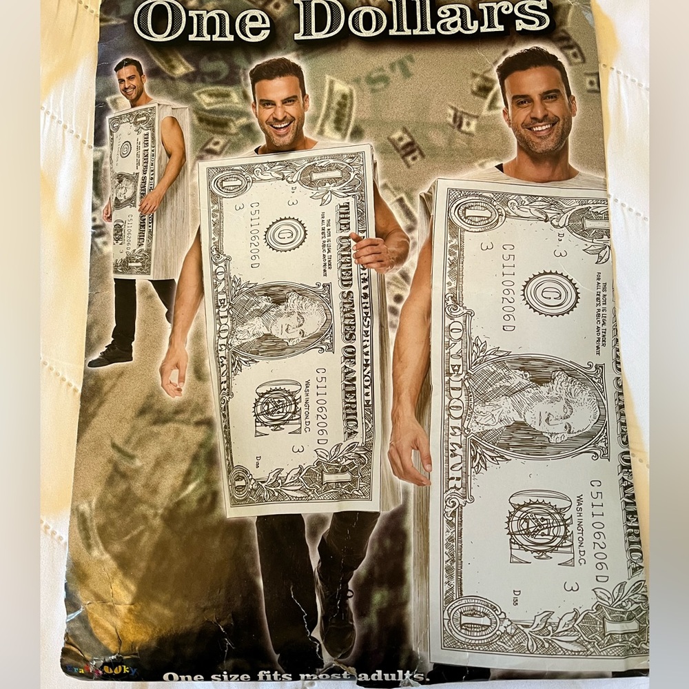 $1 Dollar Bill Costume - Worn Once!